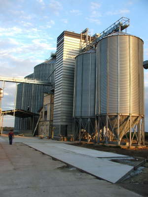 Ciric i sin - Sakule -Srbija