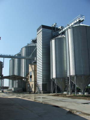 Ciric i sin - Sakule -Srbija