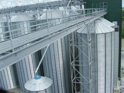 Konzul Futog (Srbija)